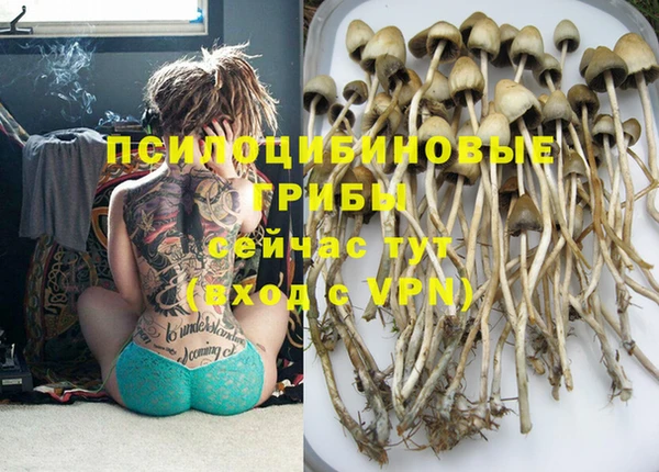 мяу мяу кристалл Бугульма