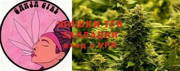 mdma Бородино